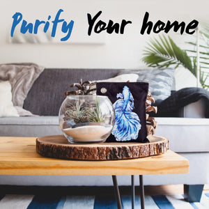 June & Juniper Bamboo Charcoal Air Purifying Bags